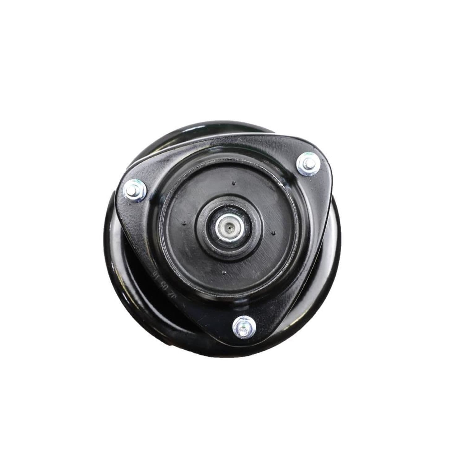Suspension Strut and Coil Spring Assembly LS34-84331R