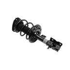 Suspension Strut and Coil Spring Assembly LS34-84391L