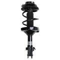 Suspension Strut and Coil Spring Assembly LS34-84421L