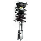 Suspension Strut and Coil Spring Assembly LS34-84431B