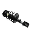 Suspension Strut and Coil Spring Assembly LS34-84461L