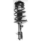 Suspension Strut and Coil Spring Assembly LS34-84461L