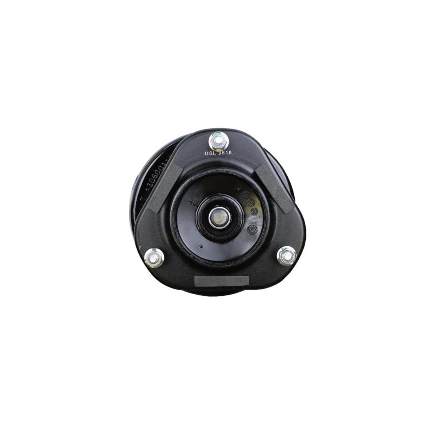 Suspension Strut and Coil Spring Assembly LS34-84531R