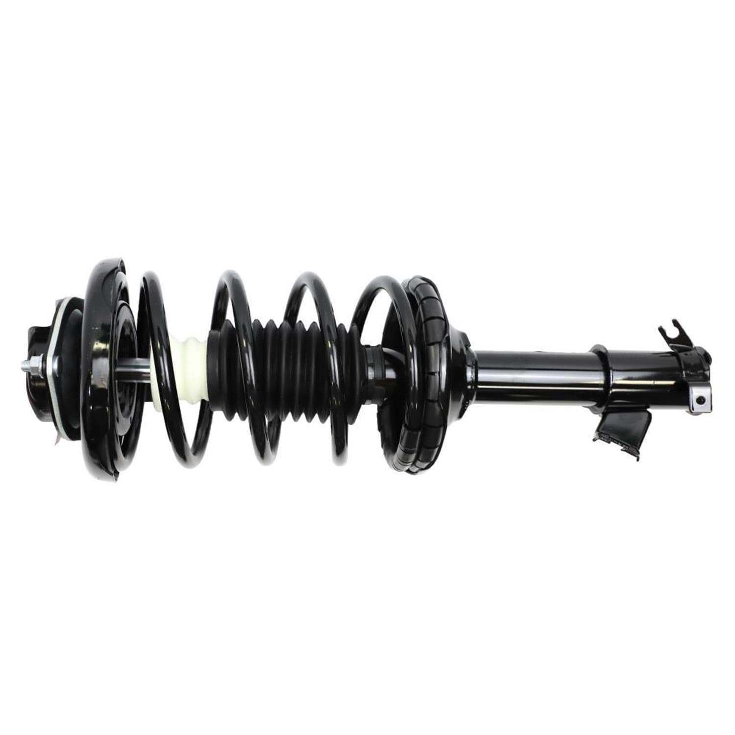 Suspension Strut and Coil Spring Assembly LS34-84561R