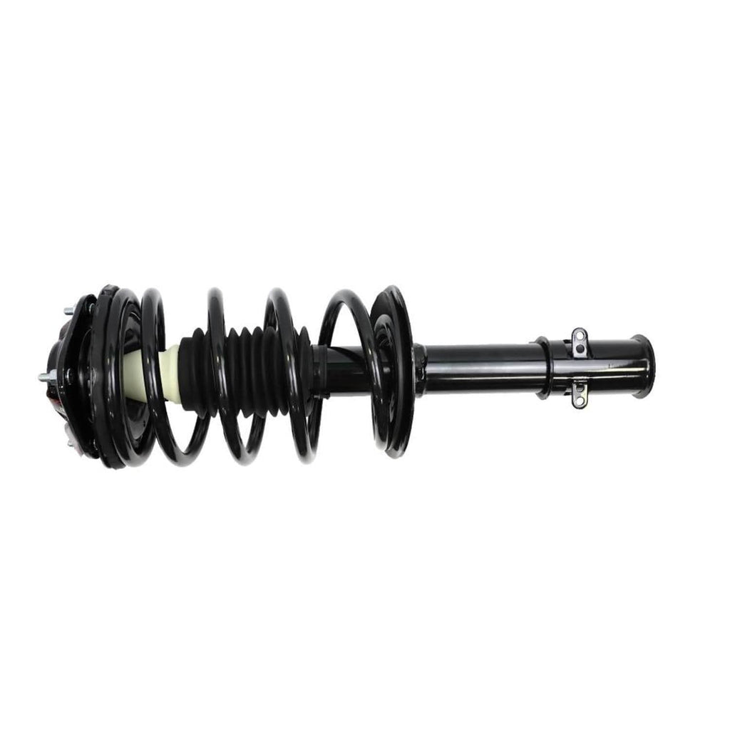 Suspension Strut and Coil Spring Assembly LS34-84581B