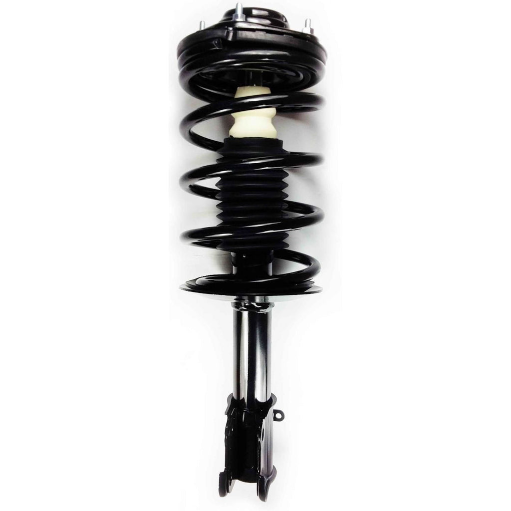 Suspension Strut and Coil Spring Assembly LS34-84581B