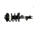 Suspension Strut and Coil Spring Assembly LS34-84681L