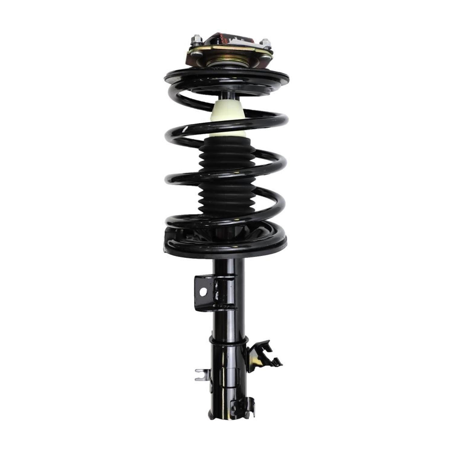 Suspension Strut and Coil Spring Assembly LS34-84681L