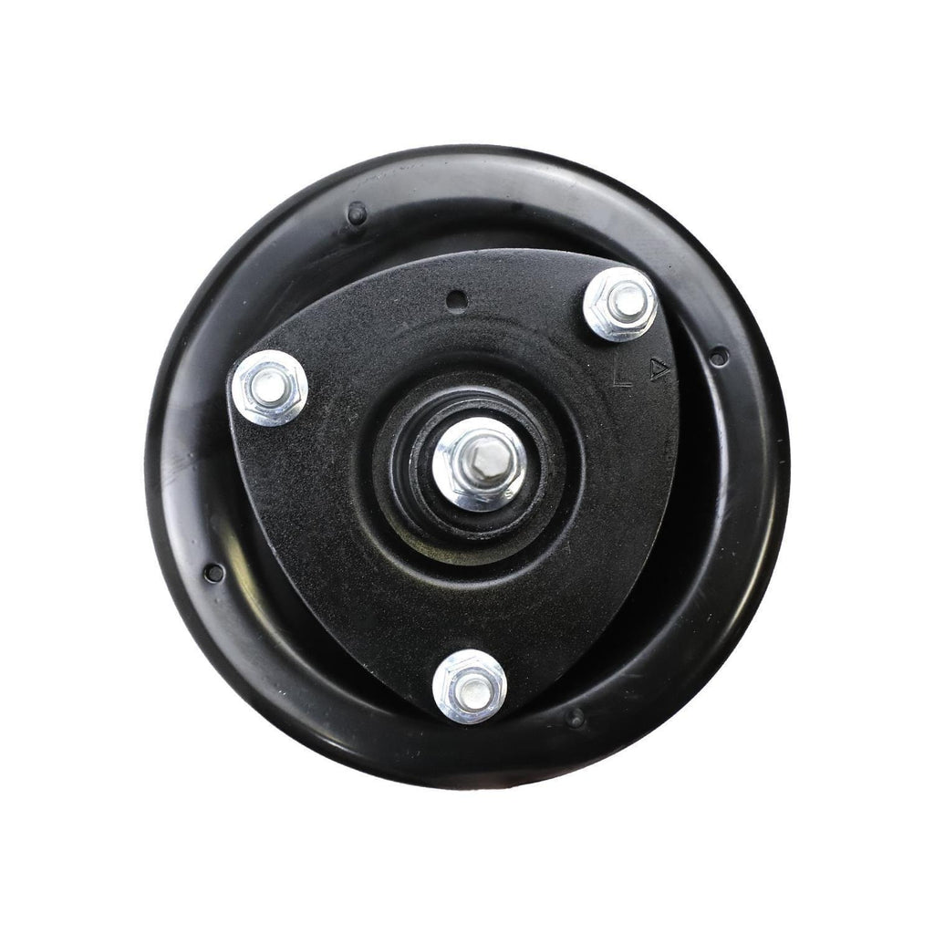Suspension Strut and Coil Spring Assembly LS34-84731L