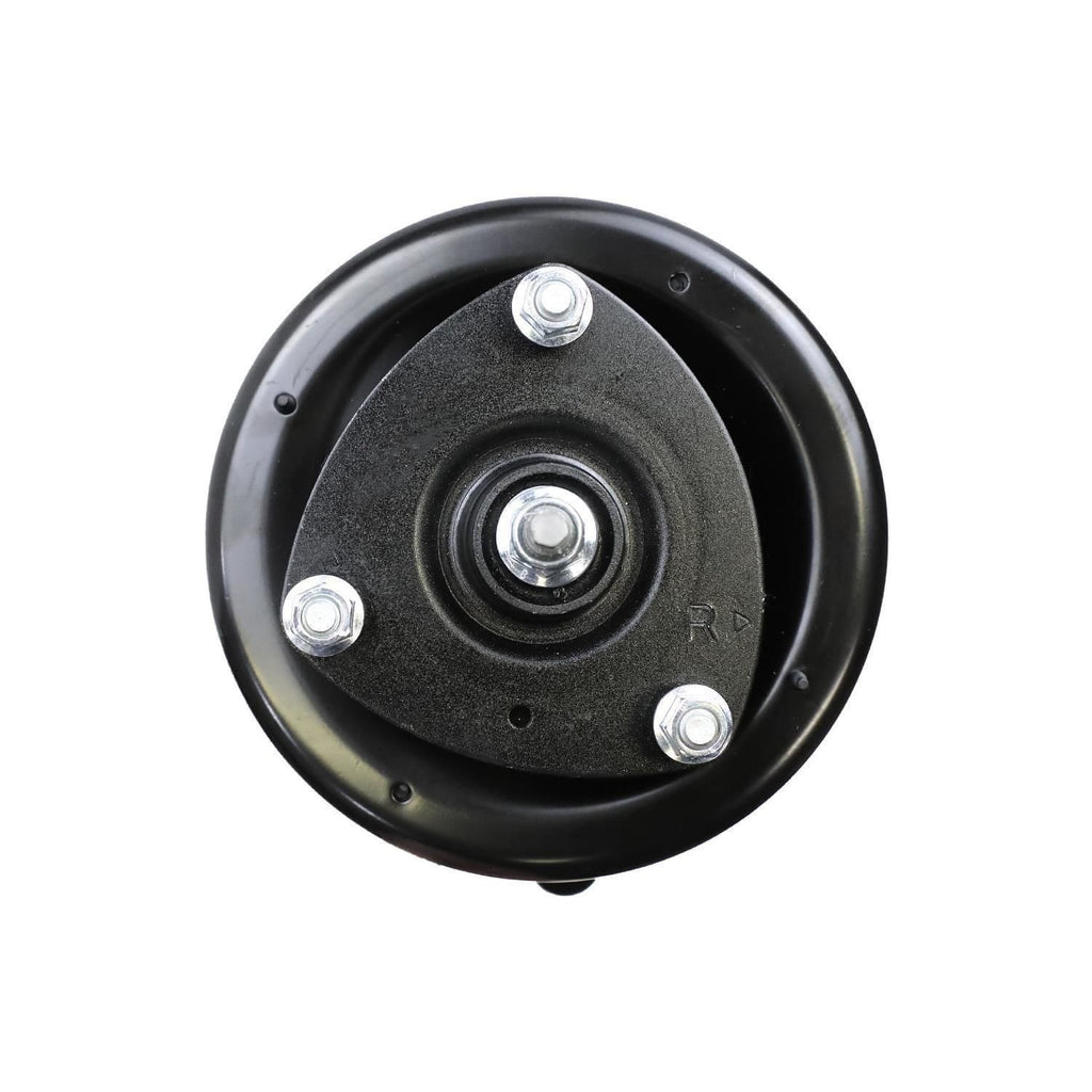 Suspension Strut and Coil Spring Assembly LS34-84731R