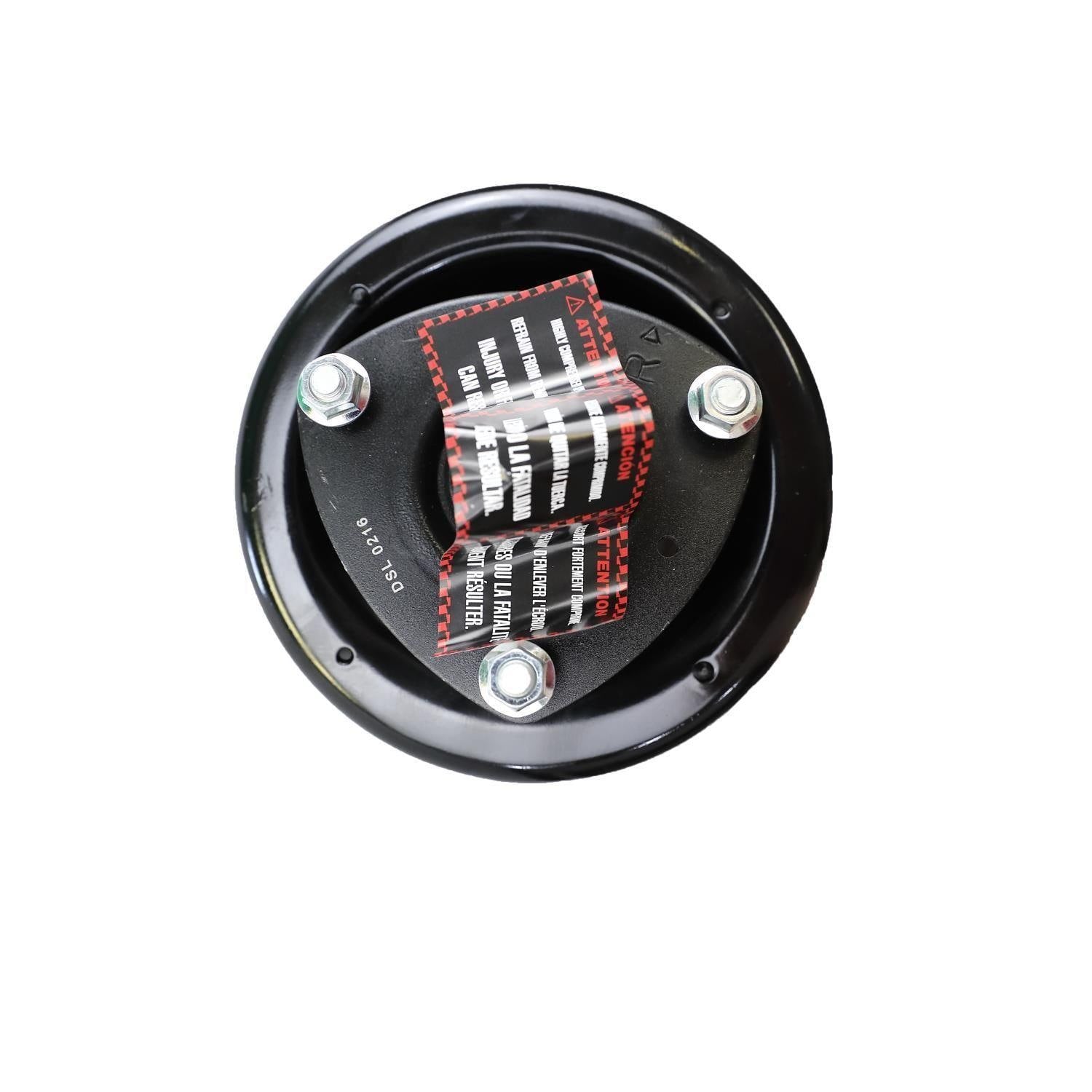 Suspension Strut and Coil Spring Assembly LS34-84741R