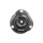 Suspension Strut and Coil Spring Assembly LS34-84801R