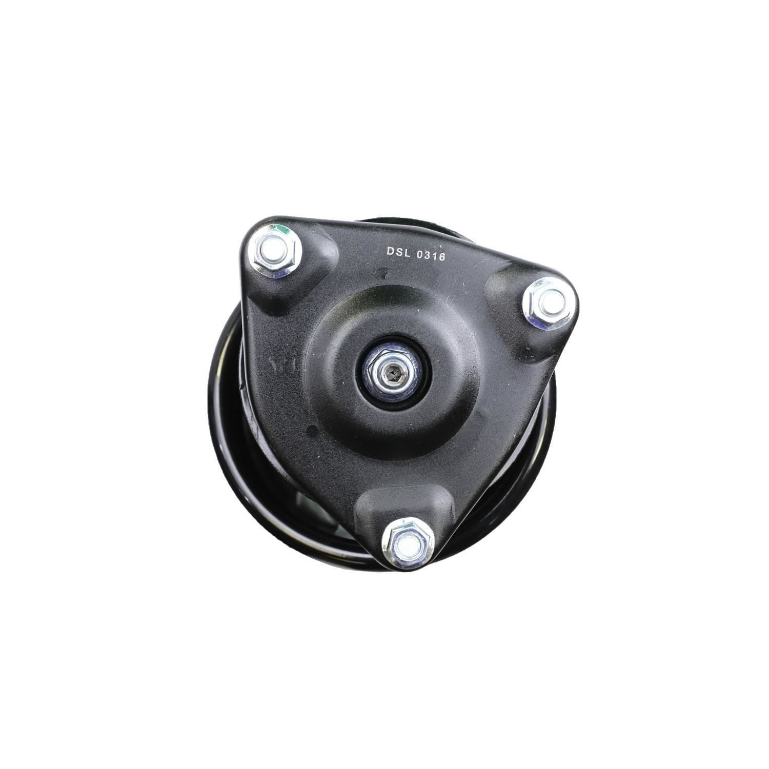 Suspension Strut and Coil Spring Assembly LS34-84861R