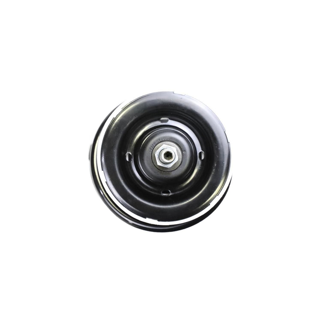 Loaded Strut Assembly LS34-85021L