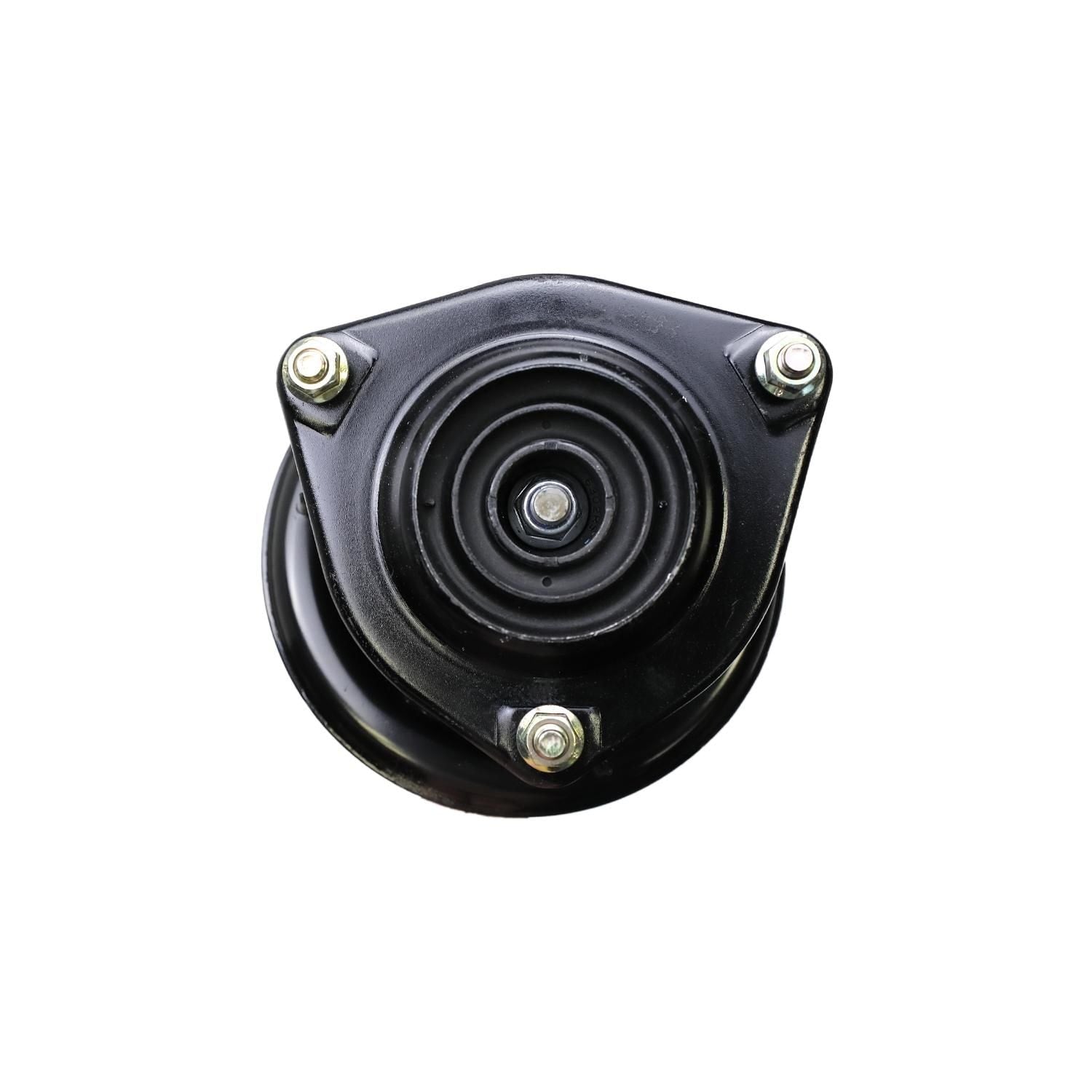 Suspension Strut and Coil Spring Assembly LS34-85301L