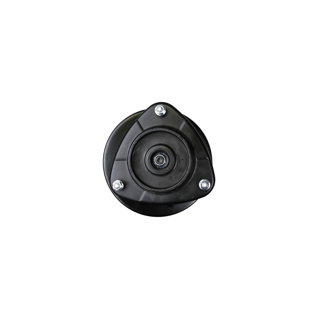 Suspension Strut and Coil Spring Assembly LS34-85381R