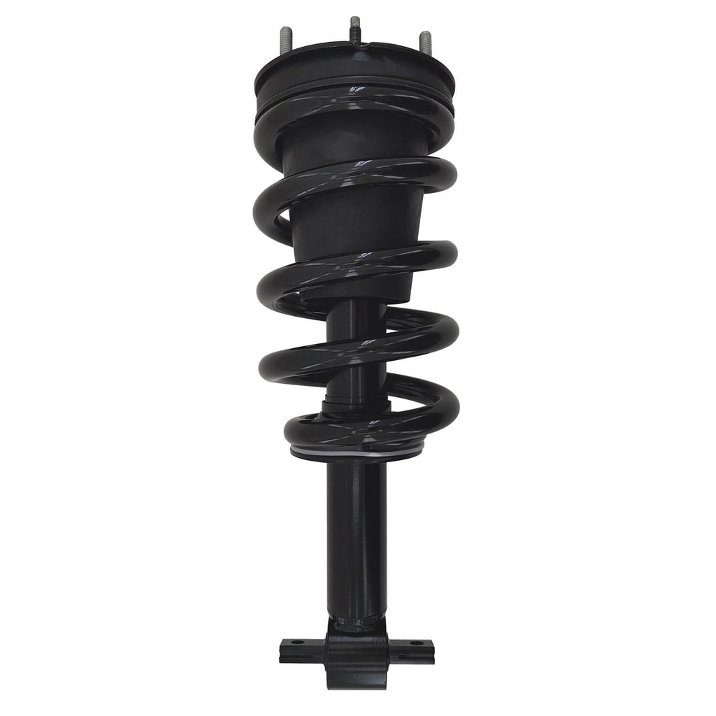 Gold Strut LS34-85501BG