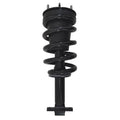 Gold Strut LS34-85501BG