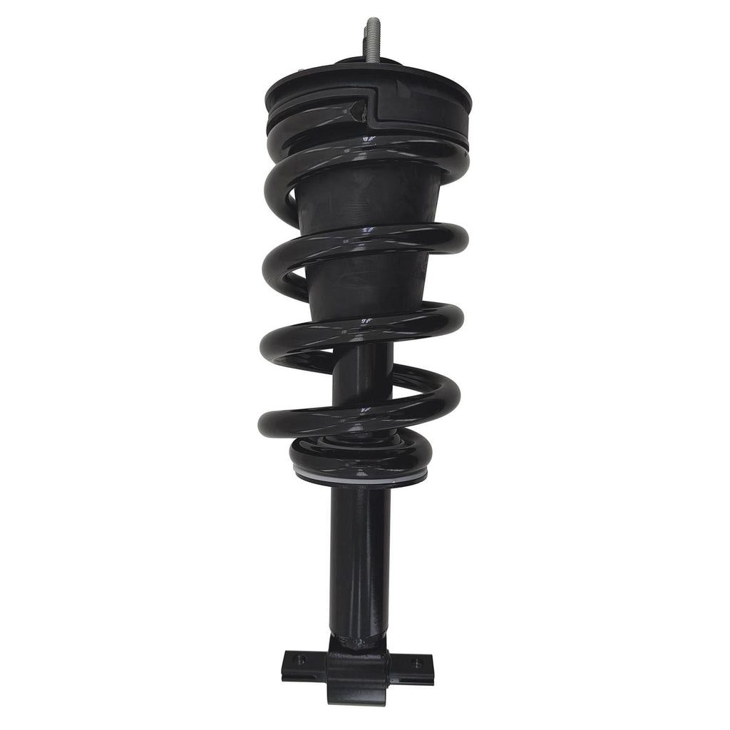 Gold Strut LS34-85501BG
