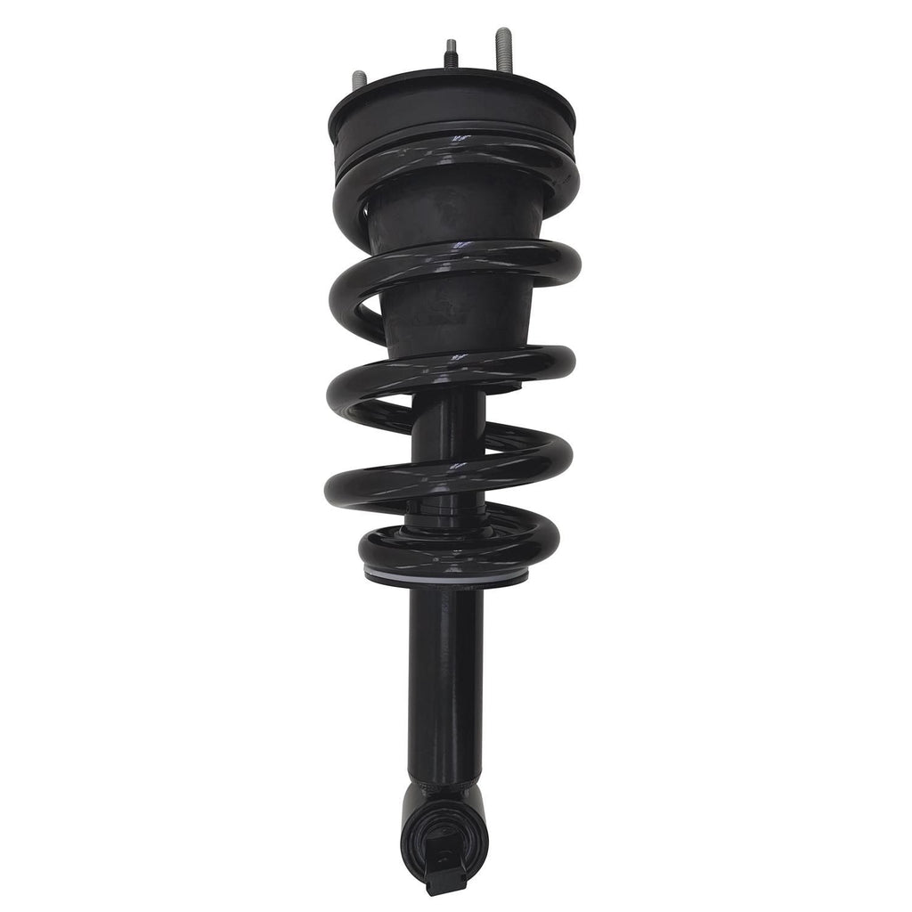 Gold Strut LS34-85501BG