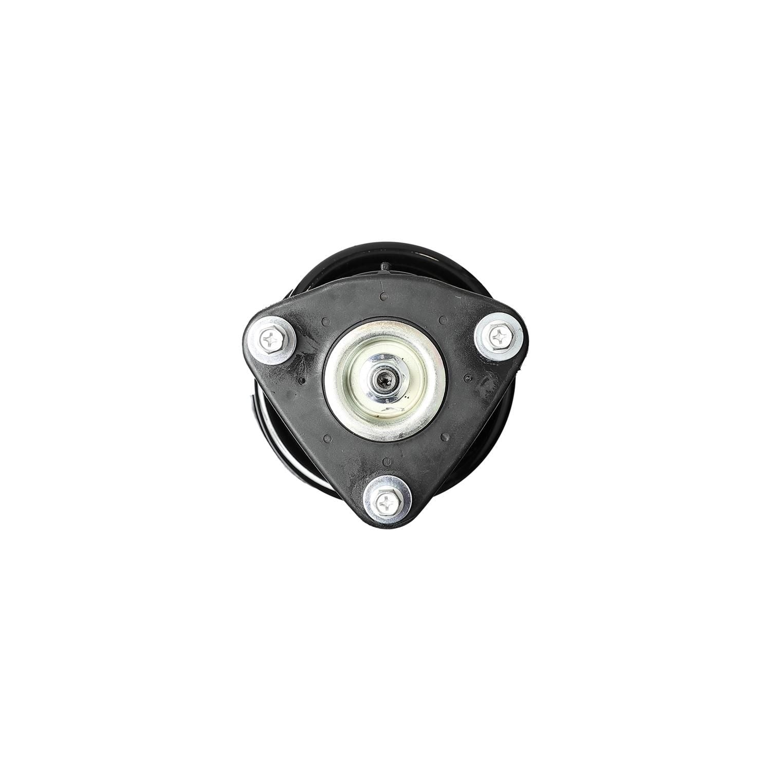 Suspension Strut and Coil Spring Assembly LS34-85521L