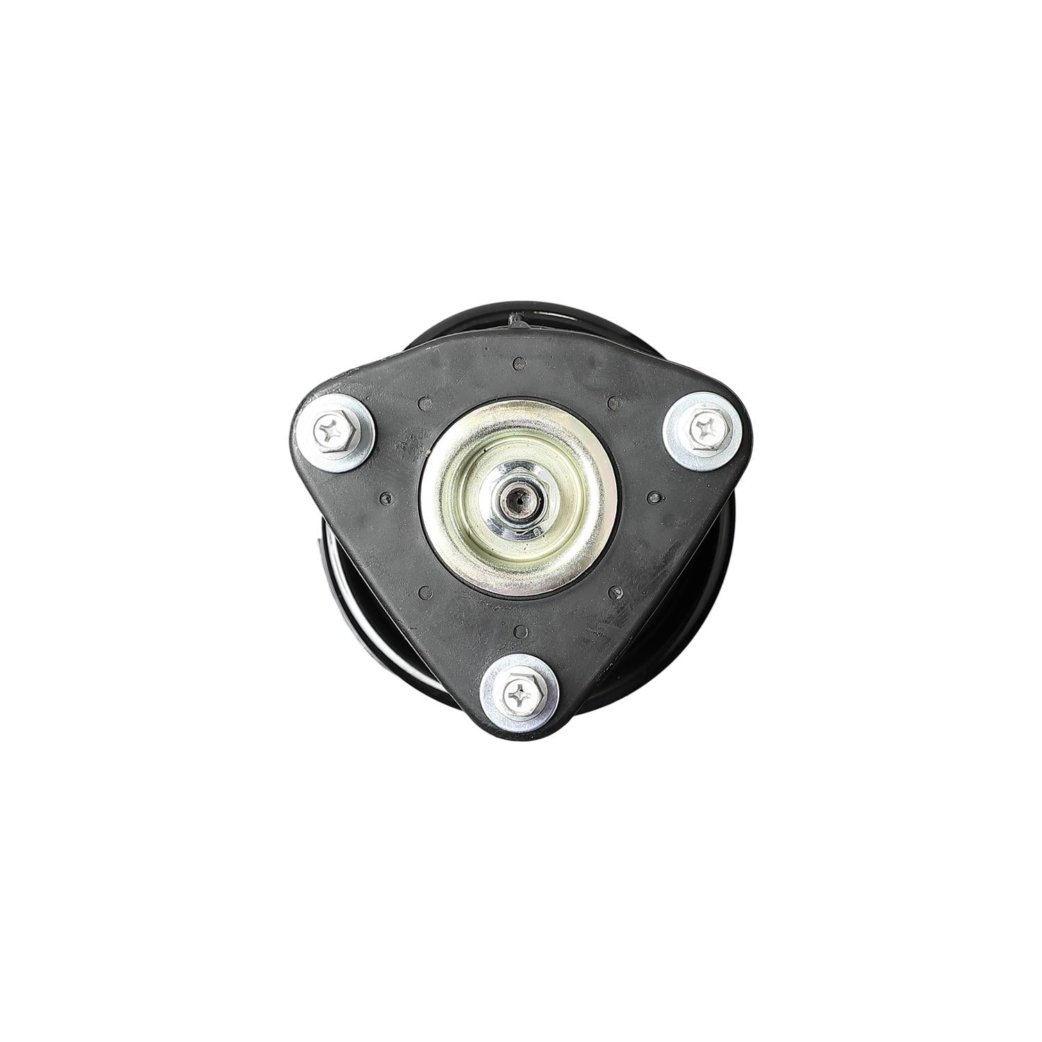 Loaded Strut Assembly LS34-85531L