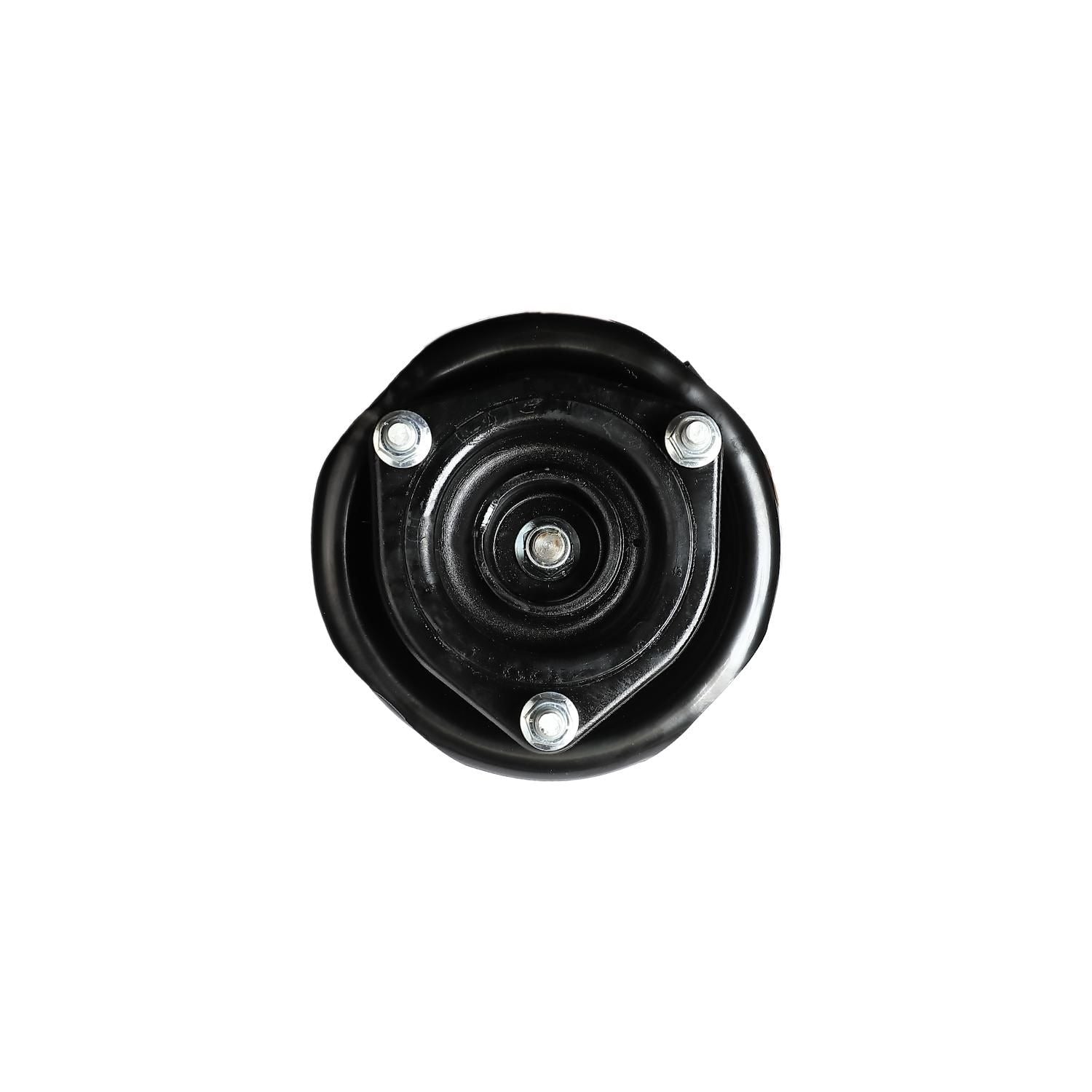 Suspension Strut and Coil Spring Assembly LS34-85571R