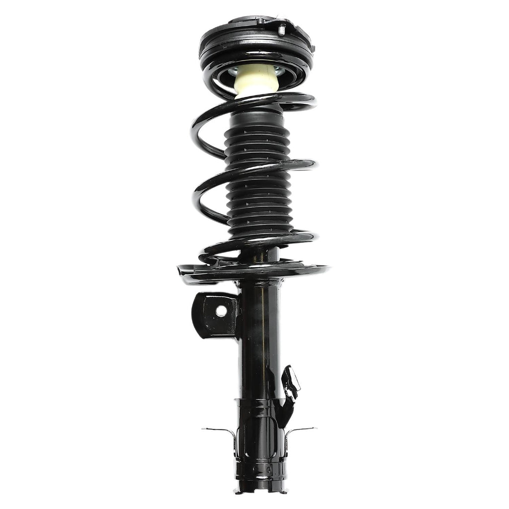 Loaded Strut LS34-85611L