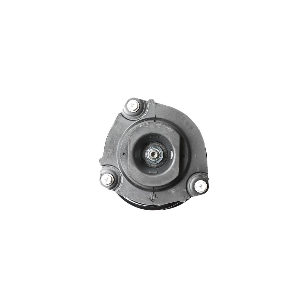Loaded Strut LS34-85611L