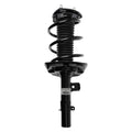 Loaded Strut LS34-85681L