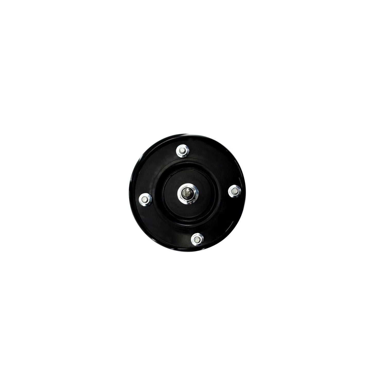 Loaded Strut LS34-85801L