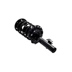 Suspension Strut and Coil Spring Assembly LS34-85841R