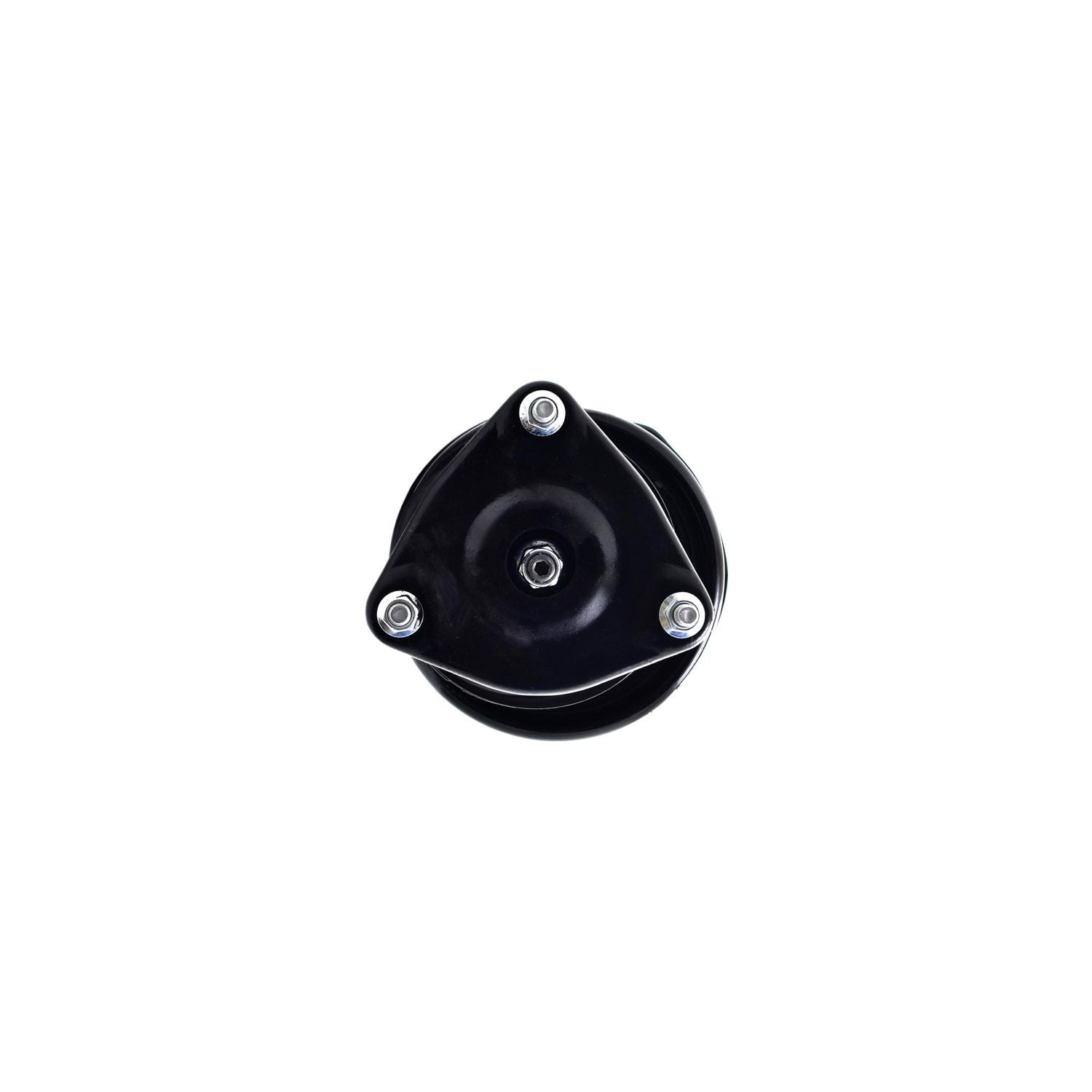 Suspension Strut and Coil Spring Assembly LS34-85901L