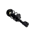 Suspension Strut and Coil Spring Assembly LS34-85931R