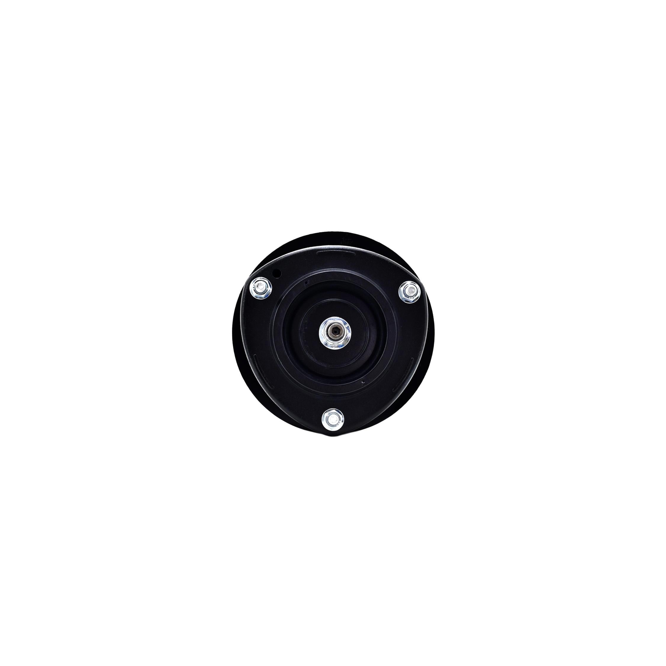 Suspension Strut and Coil Spring Assembly LS34-85931R