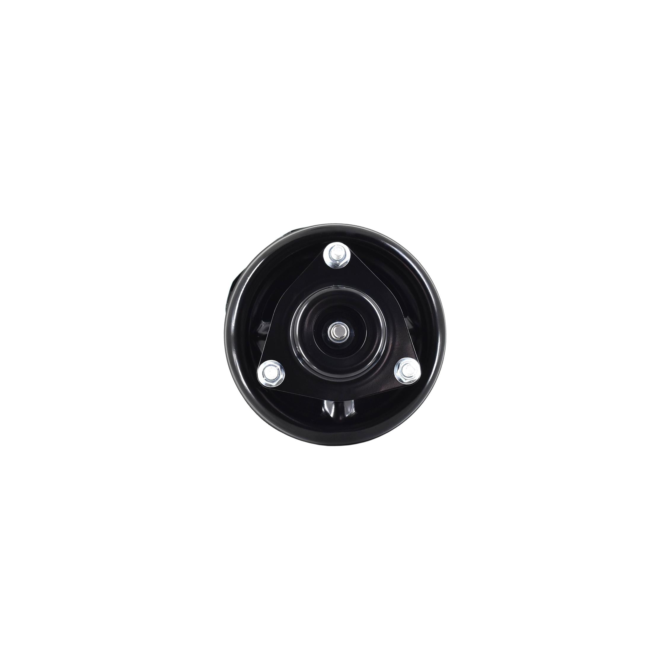 Suspension Strut and Coil Spring Assembly LS34-86051R