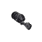 Suspension Strut and Coil Spring Assembly LS34-86051R