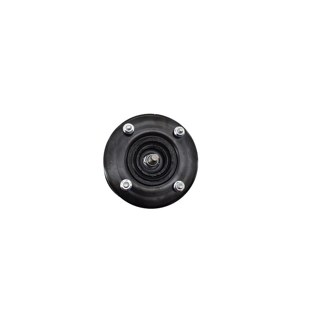 Suspension Strut and Coil Spring Assembly LS34-86071L