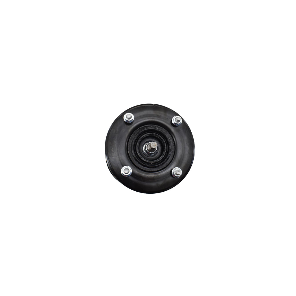 Suspension Strut and Coil Spring Assembly LS34-86071R