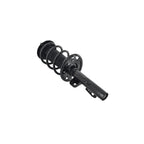 Suspension Strut and Coil Spring Assembly LS34-86071R