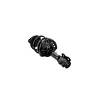 Suspension Strut and Coil Spring Assembly LS34-86081L