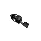 Suspension Strut and Coil Spring Assembly LS34-86081R