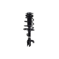 Suspension Strut and Coil Spring Assembly LS34-86101R