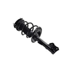 Suspension Strut and Coil Spring Assembly LS34-86101R