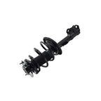 Suspension Strut and Coil Spring Assembly LS34-86101R