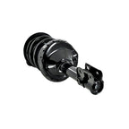 Suspension Strut and Coil Spring Assembly LS34-86121L