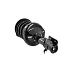 Suspension Strut and Coil Spring Assembly LS34-86121R