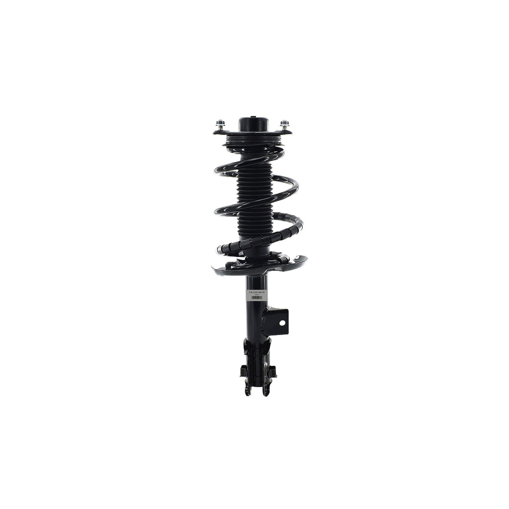 Suspension Strut and Coil Spring Assembly LS34-86211R