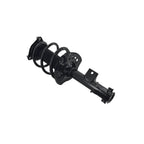 Suspension Strut and Coil Spring Assembly LS34-86211R