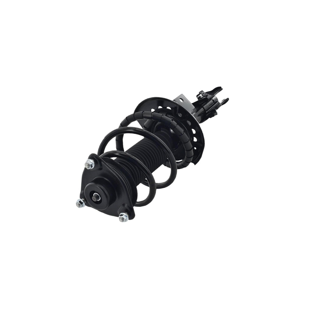 Suspension Strut and Coil Spring Assembly LS34-86211R